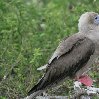 Galapagos Islands Ecuador Trip Photo Galapagos Islands boat ride