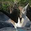 Galapagos Islands Ecuador Travel Album Galapagos Islands boat ride