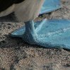 Galapagos Islands travel packages Ecuador Blog Photo