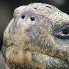 Galapagos Islands travel packages Ecuador Vacation Diary