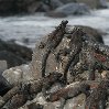 Galapagos Islands travel packages Ecuador Trip Picture