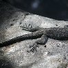 Galapagos Islands travel packages Ecuador Photograph