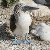 Galapagos Islands travel packages Ecuador Photo Sharing