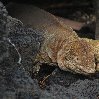 Galapagos Islands travel packages Ecuador Vacation Experience