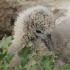 Galapagos Islands travel packages Ecuador Review Photo