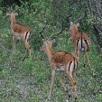   Amboseli Kenya Trip Guide