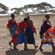   Amboseli Kenya Blog Pictures