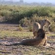 Kenya safari packages Amboseli Travel Sharing