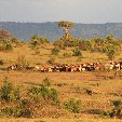 Kenya safari packages Amboseli Blog Sharing