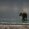 Kenya safari packages Amboseli Vacation Tips