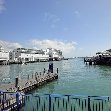   Auckland New Zealand Vacation Adventure