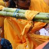 Thaipusam festival 2010 Kuala Lumpur Malaysia Blog Picture