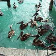 Romantic getaway in Florida Florida Keys United States Diary Sharing