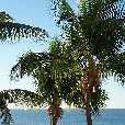Romantic getaway in Florida Florida Keys United States Vacation Pictures Romantic getaway in Florida