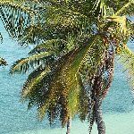   Florida Keys United States Diary Information