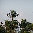  Florida Keys United States Travel Photos