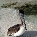 Romantic getaway in Florida Florida Keys United States Trip Photos