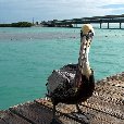 Florida Keys United States