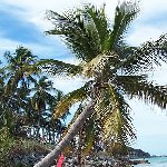 Romantic getaway in Florida Florida Keys United States Diary Picture