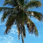 Florida Keys United States