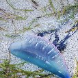 Romantic getaway in Florida Florida Keys United States Travel Pictures
