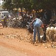 Burkina Faso Africa Banfora Picture gallery Burkina Faso Africa