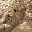 Burkina Faso Africa Banfora Diary Adventure