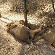 Burkina Faso Africa Banfora Travel Blog