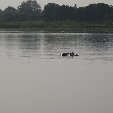 Burkina Faso Africa Banfora Diary Experience