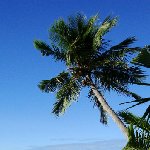 Nadi Fiji