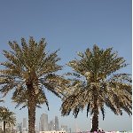   Doha Qatar Album Photographs