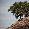  Karatu Tanzania Vacation Experience
