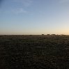 Balloon safari Serengeti Karatu Tanzania Diary Adventure