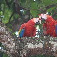 Arenal Volcano National Park Laguna de Arenal Costa Rica Review Sharing