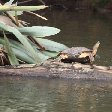   Laguna de Arenal Costa Rica Holiday Pictures