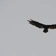   Laguna de Arenal Costa Rica Album Sharing