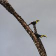 Laguna de Arenal Costa Rica