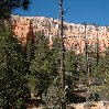   Bryce Canyon United States Vacation Photo