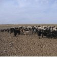 The Gobi Desert in Mongolia Kharkhorin Vacation Diary
