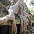   Siem Reap Cambodia Travel Guide