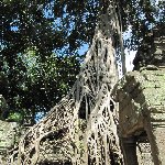 Angkor Wat Cambodia Siem Reap Blog Pictures