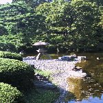   Tokyo Japan Blog Pictures