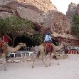 The great temple of Petra Jordan Holiday Sharing