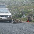 Cape Town Coastline South Africa Review