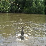 Jumping crocodiles in Darwin Australia Travel Blog