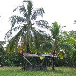 Bocas del Toro on Isla Colon Panama Review Sharing