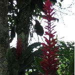   Bocas del Toro Panama Vacation Photos