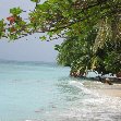 Bocas del Toro on Isla Colon Panama Trip