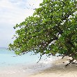   Bocas del Toro Panama Travel Photo
