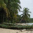 Bocas del Toro on Isla Colon Panama Photos